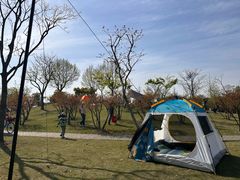-广富林郊野公园
