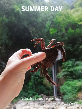 周末自驾游，带上了两个小朋友，一个3岁，一个三年级