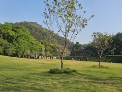 -黄埔油麻山森林公园