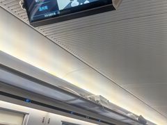 -锦泓老字号猪脏粉(东联大厦店)