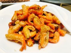 -塞上府(西安店)