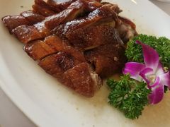 -一品粤珍轩(吴中路店)