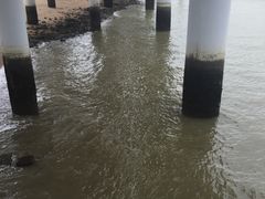 -演武大桥观景平台