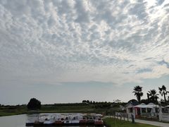-空港花田景区