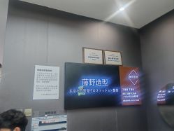 -藤野造型烫染