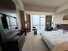 -上海浦东国际旅游度假区绿地铂骊酒店