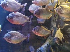 -多彩贵州城极地海洋世界