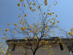 -人民公园(罗湖区)