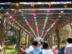 -白马涧龙池景区