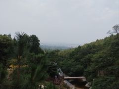-涂山风景区