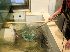 -小乡小镇·传承桐庐土菜·老板亲自烧的菜