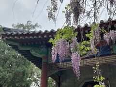 -北京市劳动人民文化宫(太庙)