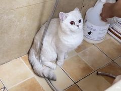 -佳雯宠物医院·皮肤科·内外科(春晓路分院)