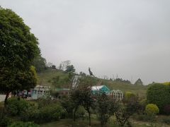 -都江堰玫瑰花溪谷