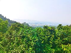 -火炉山森林公园