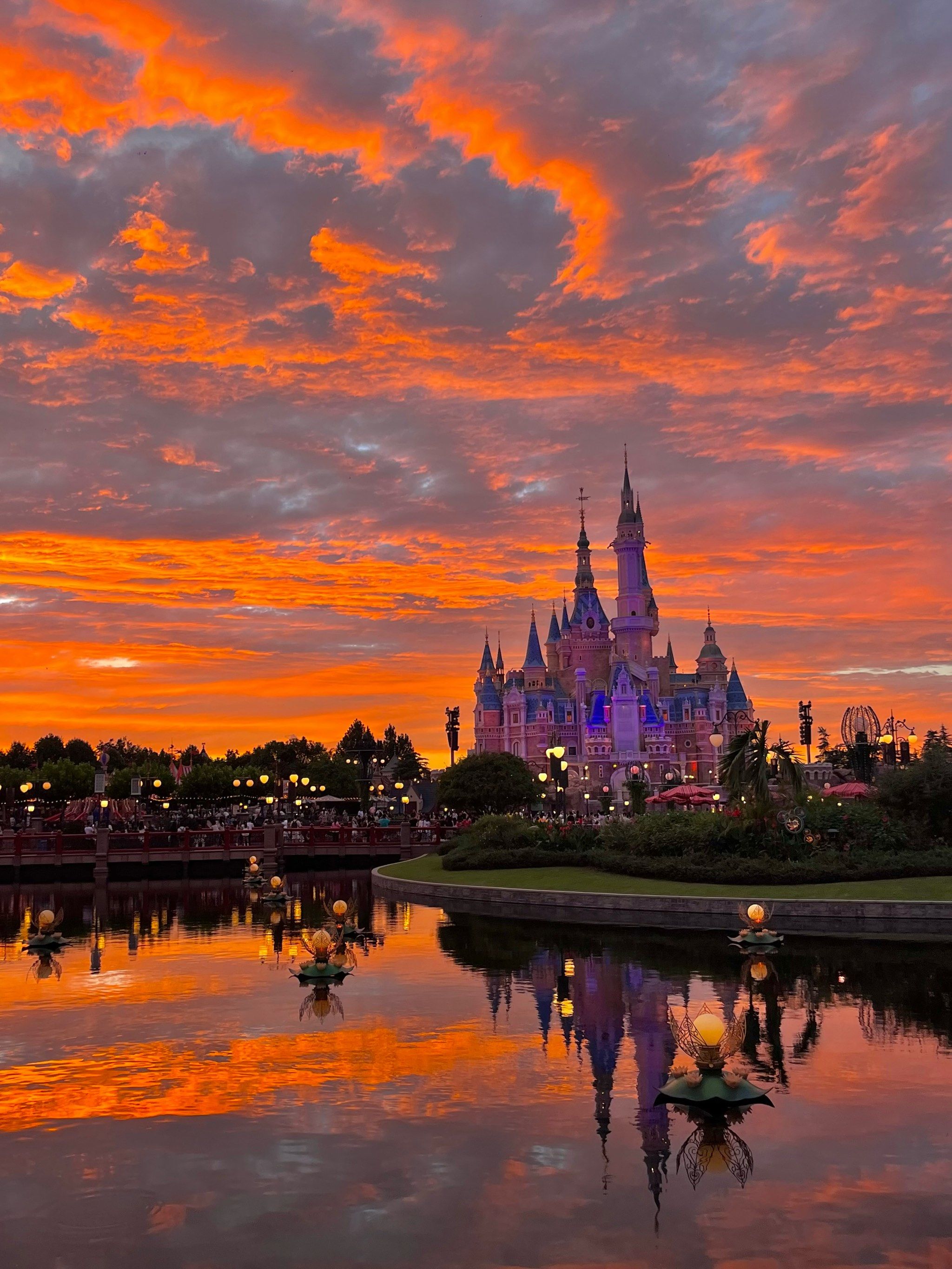 分享治愈系风景 #我拍到的治愈系风景 #童话世界 #必去上海迪士尼档 