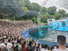 -欢乐海岸海洋奇梦馆