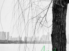 -艾溪湖湿地公园