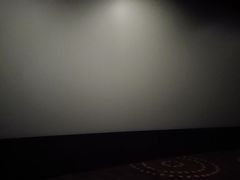 -万达影城(保定万博广场激光IMAX店)