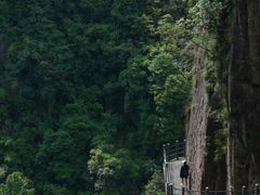 -天台山琼台仙谷景区