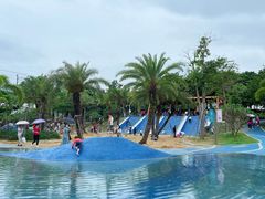 -宝安西湾红树林湿地公园