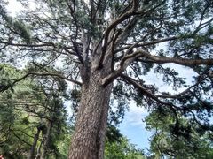 -终南山南五台景区