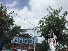 景点-猫咪博物馆(顶澳仔猫街店)