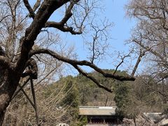 -潭柘寺景区