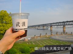 -武汉关码头(轮渡站)