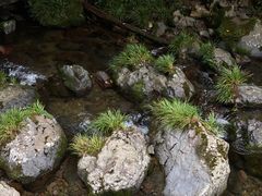 -龙苍沟森林公园