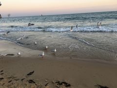 -海云台海滩