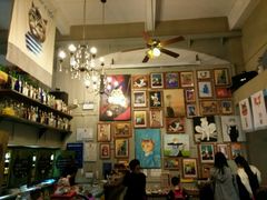 -猫咪博物馆(顶澳仔猫街店)