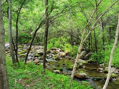 -玉渡山自然风景区