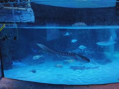 -沈阳海洋探索中心