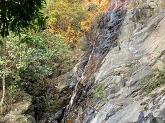 -梧桐山风景名胜区