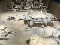 -洛阳周王城天子驾六博物馆