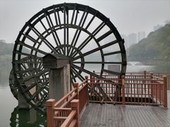 -重庆彩云湖湿地公园