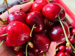 -沈阳市八家子水果批发市场