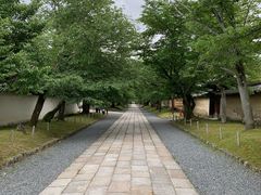 -醍醐寺