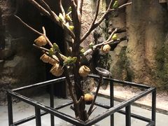 -zoonana室内动物园(东方福来德店)