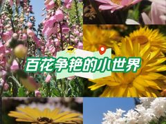 -紫竹院公园-东门停车场