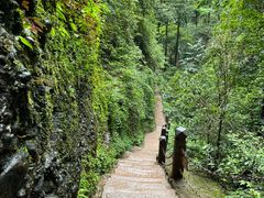 -青城山