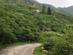 -大围山国家森林公园