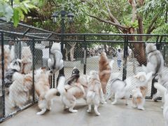 -TrueLove @ Neverland (Husky Cafe)