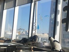 -Cappucimeow猫咪咖啡馆(韦伯时代店)