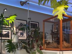 -一尺花园(安和花园店)