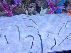 -成都浩海立方海洋公园