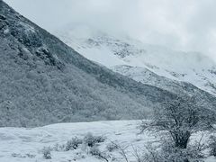 -黄龙山原始森林景区
