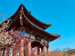 -梅花山(明孝陵内)