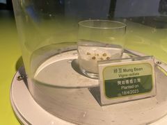 -香港科学馆